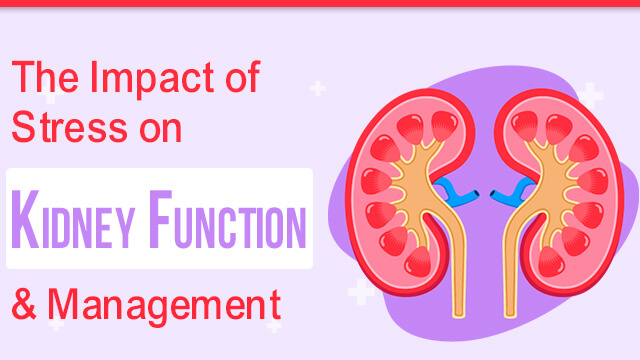 http://blog.sghshospitals.com/uploads/Kidney Function 01